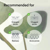 Abib Vegan Collagen Heartleaf Jelly Mask